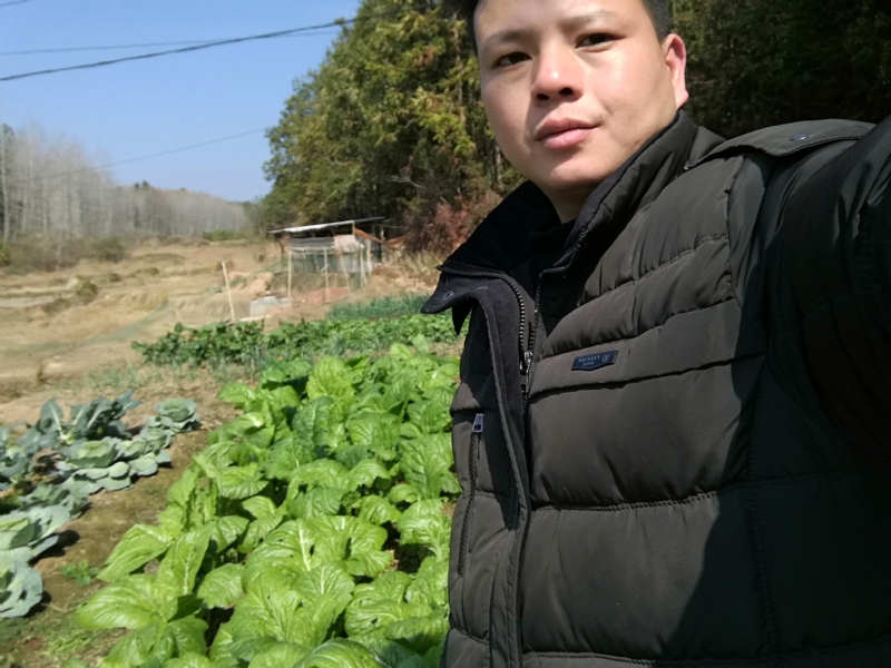 倔强的驴的第一张照片--苏州蓝颜知己交友网